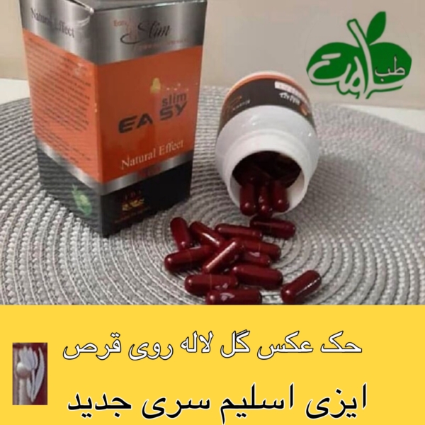 ایزی اسلیم